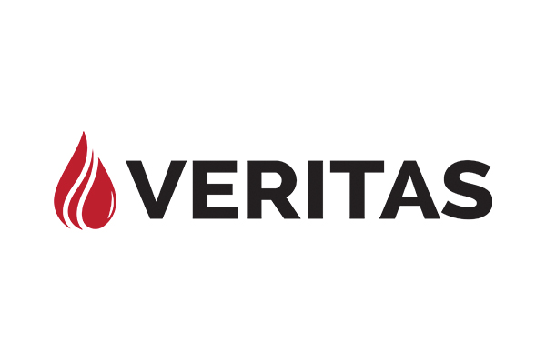 σχεδιασμός λογότυπου veritas